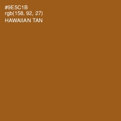 #9E5C1B - Hawaiian Tan Color Image